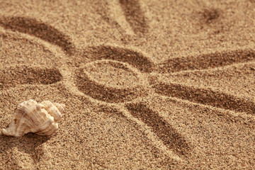 conchiglia con sole nella sabbia