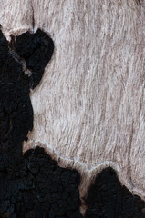 Burned wood surface