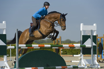 Springreiten