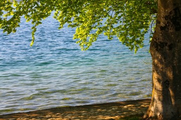 Bord du lac
