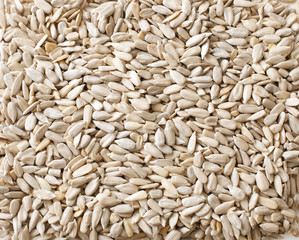 sunflower seeds background