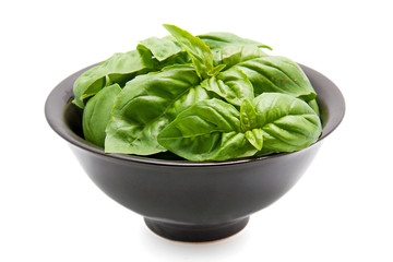 Black bowl with fresh basil leaves over white background