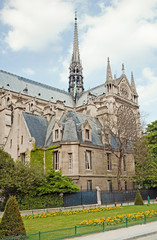 Fototapeta na wymiar Notre Dame de Paris w czasie wiosny