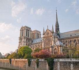 Notre Dame de Paris in spring time