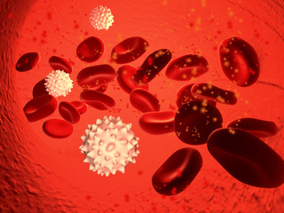 illustration of red and white blood cells flow in artery