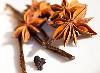 Gousse de vanille & badiane