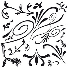 Fototapeta premium set di decori classici floreali