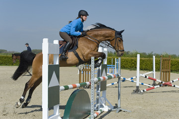 Springreiten