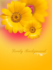Sunflower On Decor Background