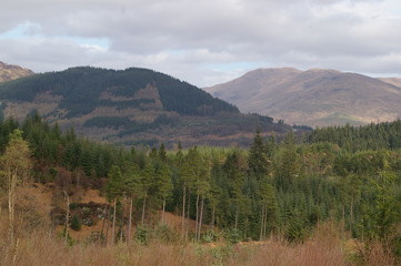 Fototapeta na wymiar Mountain Landscape - The Trossachs, Scotland