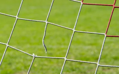 Photo sur Plexiglas Foot Coup direct dans le but - Soccer Goal - Success Concept