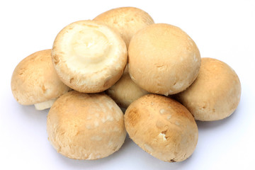 brown mushroom