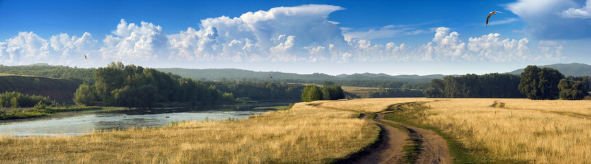 Fototapeta premium Panorama of the summer day with little river