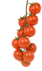 red tomato branch isolated on white