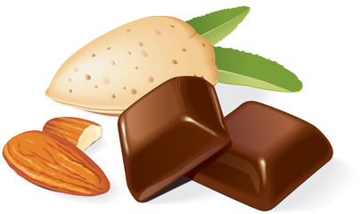 Chocolate pieces and almonds composition. Vector