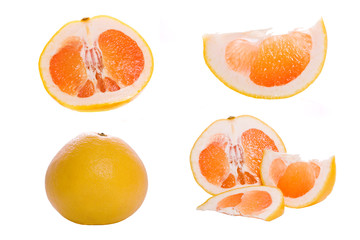 grapefruit