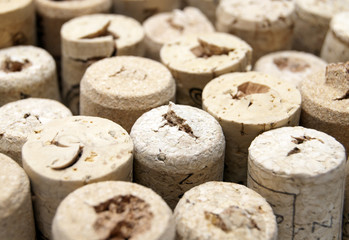 Wine cork tops