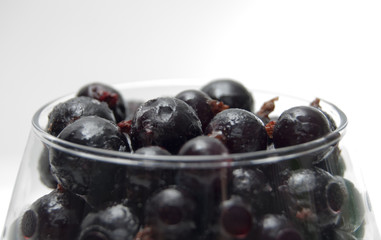 Blackcurrant in glass bowl