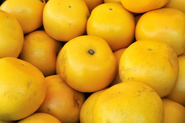 pamplemousses au marché