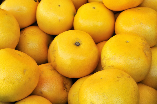 pamplemousses au march&eacute;