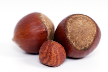 Hazelnuts closeup