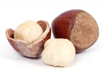 Hazelnuts