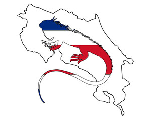 Leguan Costa Rica