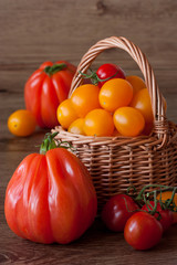 Multicolored tomatoes.