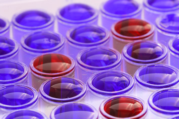 Laboratory  test in 96-well microtiter plate