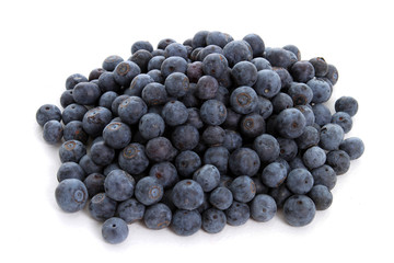 Blueberries on White Background