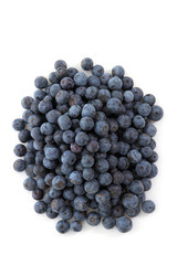 Blueberries on White Background