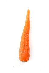 Carrot on White Background