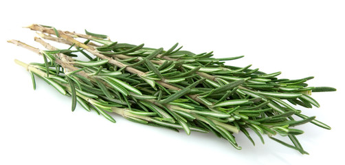 Fototapeta premium Twigs of rosemary