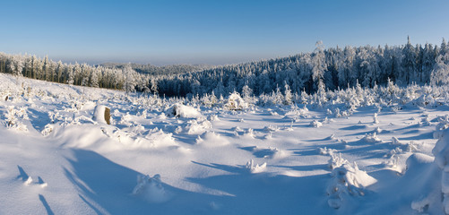 Winter panorama with forest in hills