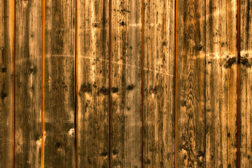 texture of the old natural wood