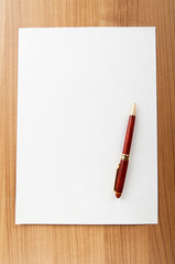 Pen on the sheet of paper