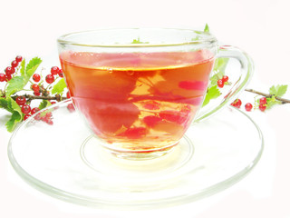 red fruit tea with currant extract