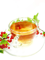 fruit red tea with currant extract