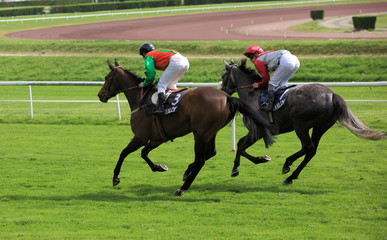 course de chevaux