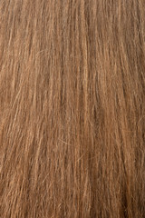 Female hair texture
