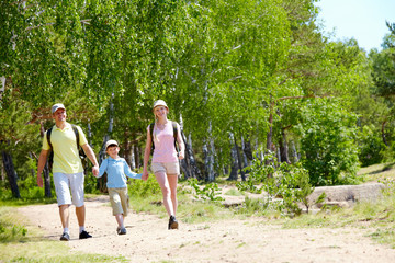 Fototapeta premium At summer