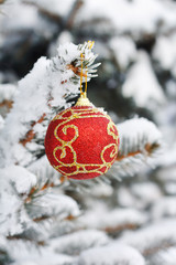 Christmas ball on the fir