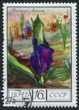 Postage stamp USSR 1975: Eminium lehmannii (regelii)