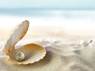 Obraz premium Skorupa z perłą