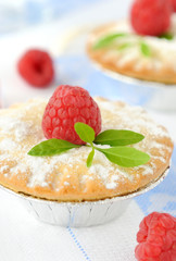 Berry cakes