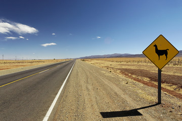 Panneau de signalisation attention Lama en Argentine © GSM