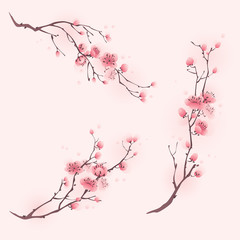 Oriental style painting, cherry blossom in spring © ori-artiste