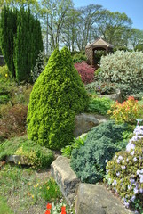 Fototapeta premium english country garden