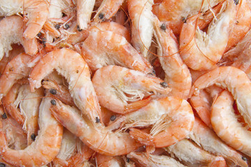 Shrimp background