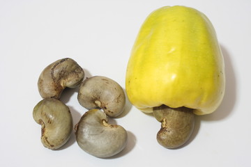 Cashew nut